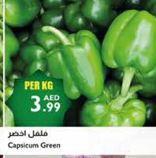 Chilli / Capsicum available at Istanbul Supermarket in UAE - Abu Dhabi