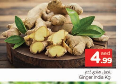 Ginger from India available at AL MADINA in UAE - Sharjah / Ajman