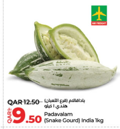 Gourd from India available at LuLu Hypermarket in Qatar - Doha