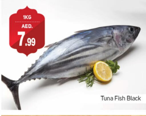 Tuna available at TALAL MARKET in UAE - Dubai