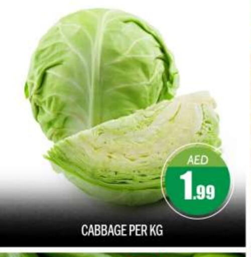 Cabbage available at بيج مارت in الإمارات العربية المتحدة , الامارات - أبو ظبي