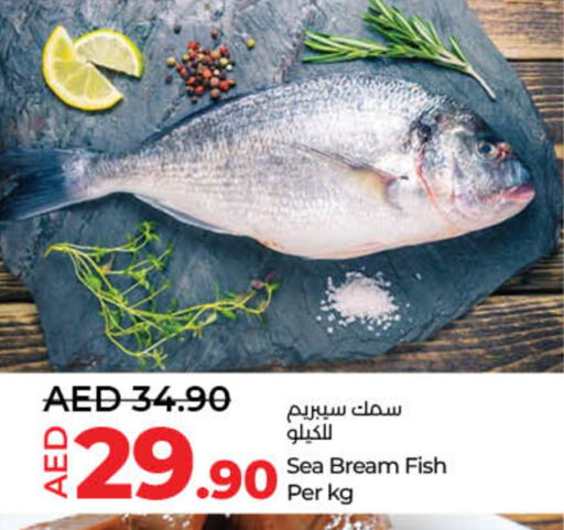 available at لولو هايبرماركت in الإمارات العربية المتحدة , الامارات - أم القيوين‎