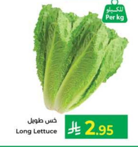 Lettuce available at كبايان هايبرماركت in مملكة العربية السعودية, السعودية, سعودية - جدة