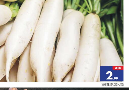 Radish available at AL MADINA in UAE - Sharjah / Ajman