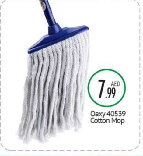 Cleaning Aid available at BIGmart in UAE - Abu Dhabi