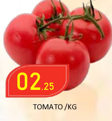 Tomato available at ROYAL GULF HYPERMARKET LLC in UAE - Abu Dhabi