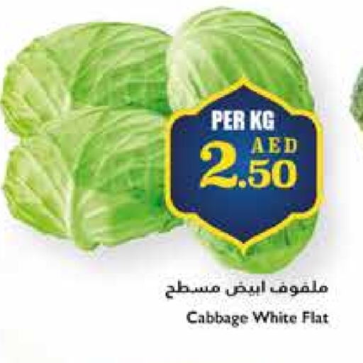 Cabbage available at Trolleys Supermarket in UAE - Sharjah / Ajman