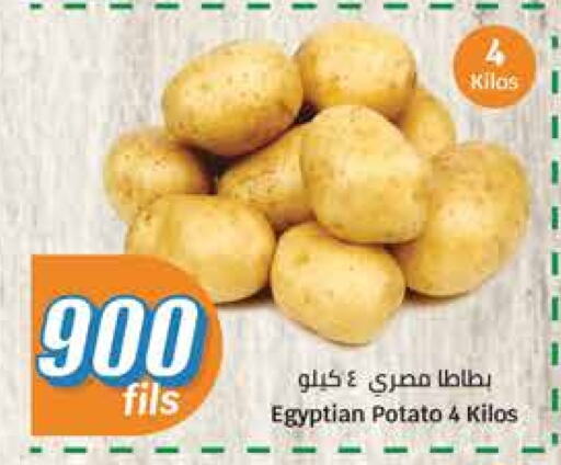 Potato from Egypt available at City Hypermarket in Kuwait - Ahmadi Governorate