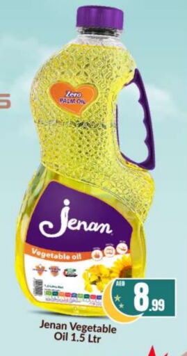 JENAN Vegetable Oil available at BIGmart in UAE - Abu Dhabi