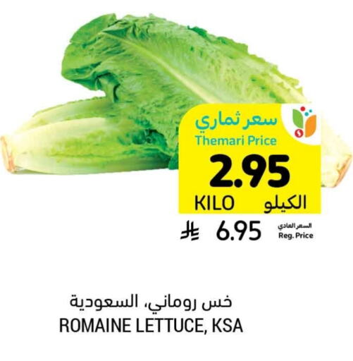 Lettuce available at Tamimi Market in KSA, Saudi Arabia, Saudi - Tabuk