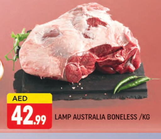 available at AL MADINA (Dubai) in UAE - Dubai