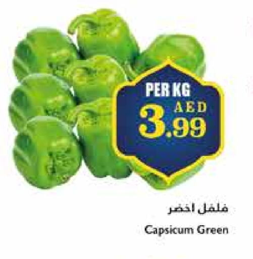 Chilli / Capsicum available at تروليز سوبرماركت in الإمارات العربية المتحدة , الامارات - الشارقة / عجمان