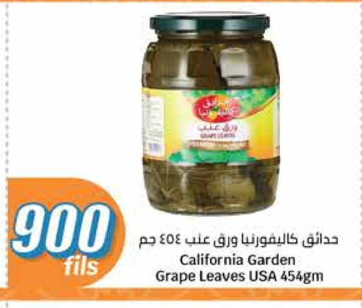 كاليفورنيا جاردن available at سيتي هايبرماركت in الكويت - مدينة الكويت