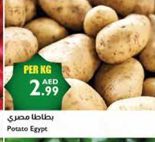 بطاطا from Egypt available at إسطنبول سوبرماركت in الإمارات العربية المتحدة , الامارات - الشارقة / عجمان