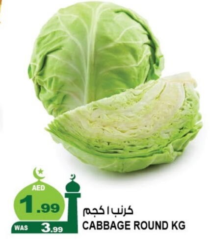 Cabbage available at Hashim Hypermarket in UAE - Sharjah / Ajman