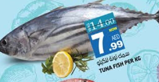 Tuna available at Hashim Hypermarket in UAE - Sharjah / Ajman