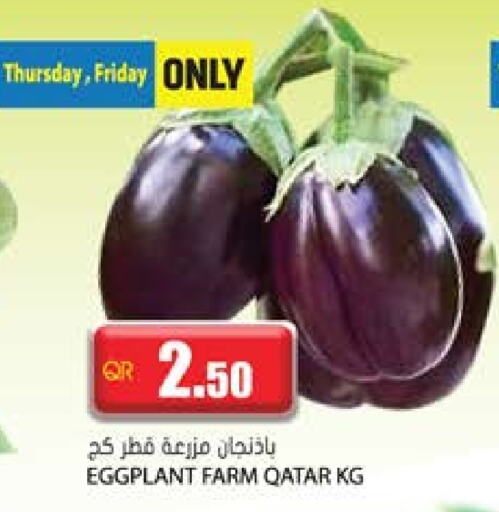 Eggplant from Qatar available at جراند هايبرماركت in قطر - الريان