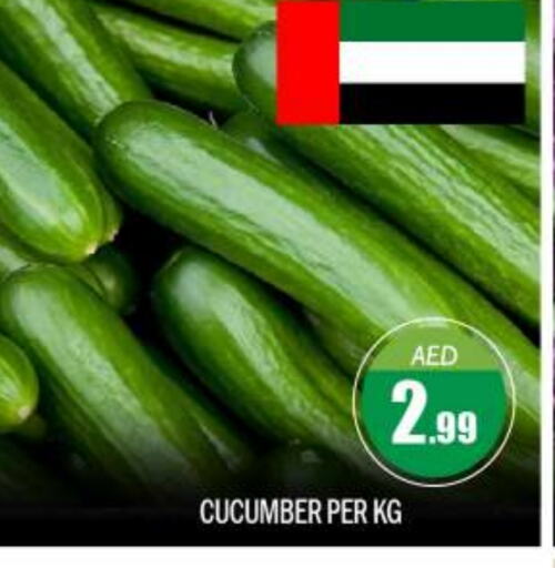 Cucumber available at بيج مارت in الإمارات العربية المتحدة , الامارات - أبو ظبي