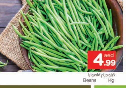 Beans available at AL MADINA in UAE - Sharjah / Ajman