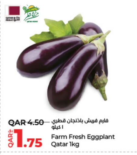 Eggplant from Qatar available at لولو هايبرماركت in قطر - الشحانية