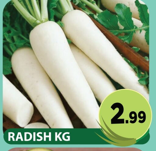 Radish available at Fresh Spike Supermarket in UAE - Dubai