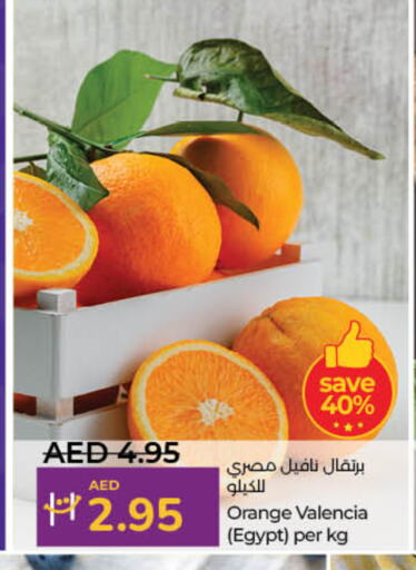 Orange from Egypt available at Lulu Hypermarket in UAE - Dubai