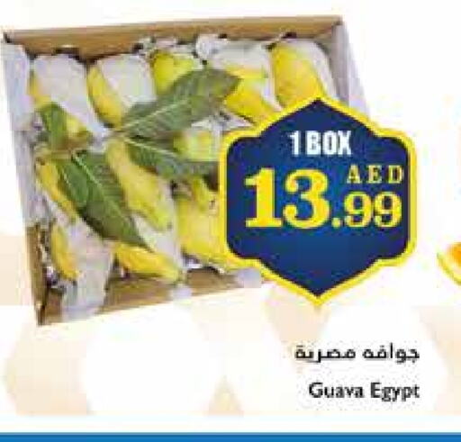 Guava from Egypt available at Trolleys Supermarket in UAE - Sharjah / Ajman