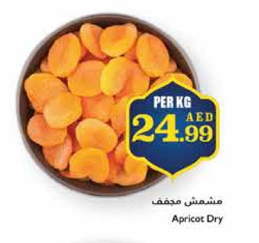 Apricot available at تروليز سوبرماركت in الإمارات العربية المتحدة , الامارات - الشارقة / عجمان