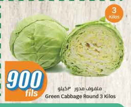 Cabbage available at City Hypermarket in Kuwait - Jahra Governorate