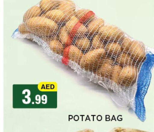 Potato available at أزهر المدينة هايبرماركت in الإمارات العربية المتحدة , الامارات - أبو ظبي