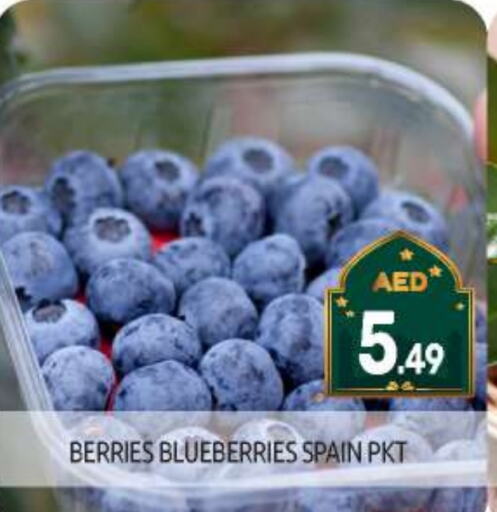 Berries from Spain available at BIGmart in UAE - Abu Dhabi