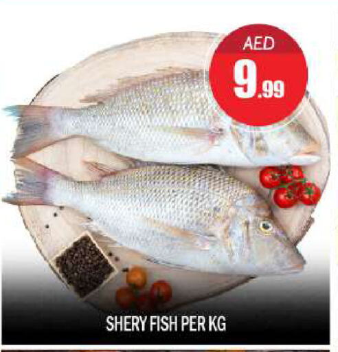 available at BIGmart in UAE - Abu Dhabi