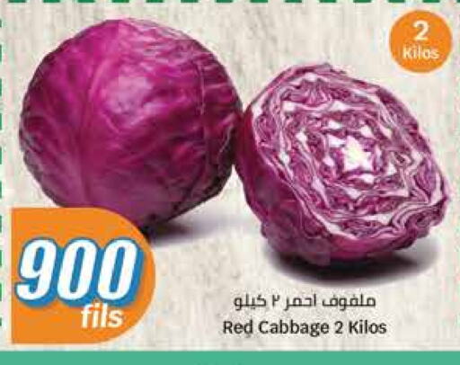 Cabbage available at City Hypermarket in Kuwait - Kuwait City