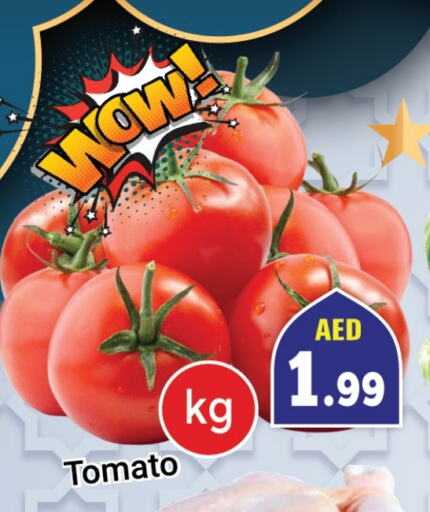 Tomato available at Souk Al Mubarak Hypermarket in UAE - Sharjah / Ajman