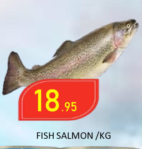available at ROYAL GULF HYPERMARKET LLC in UAE - Abu Dhabi