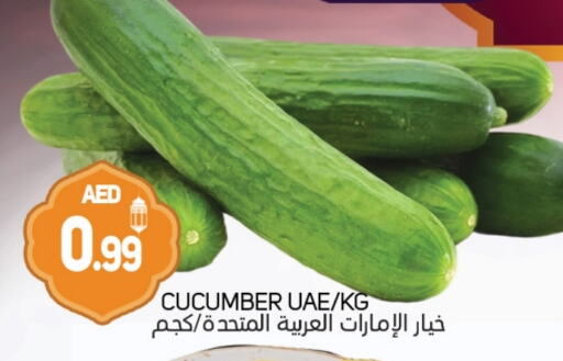 Cucumber available at Souk Al Mubarak Hypermarket in UAE - Sharjah / Ajman