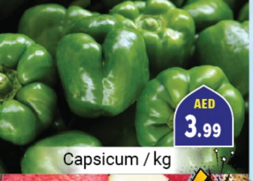 Chilli / Capsicum available at Souk Al Mubarak Hypermarket in UAE - Sharjah / Ajman