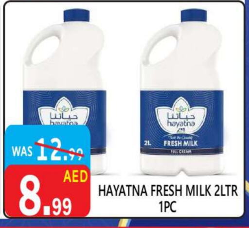 HAYATNA Full Cream Milk available at United Hypermarket in UAE - Dubai