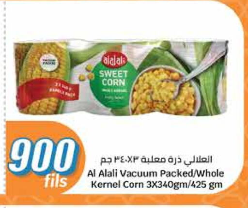 AL ALALI available at City Hypermarket in Kuwait - Ahmadi Governorate