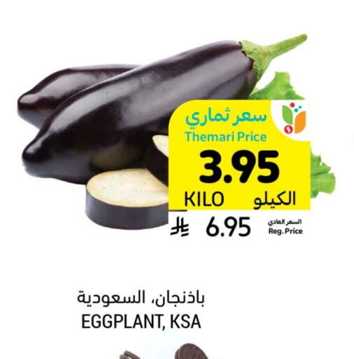 Eggplant available at Tamimi Market in KSA, Saudi Arabia, Saudi - Tabuk