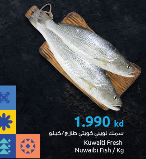 available at The Sultan Center in Kuwait - Jahra Governorate