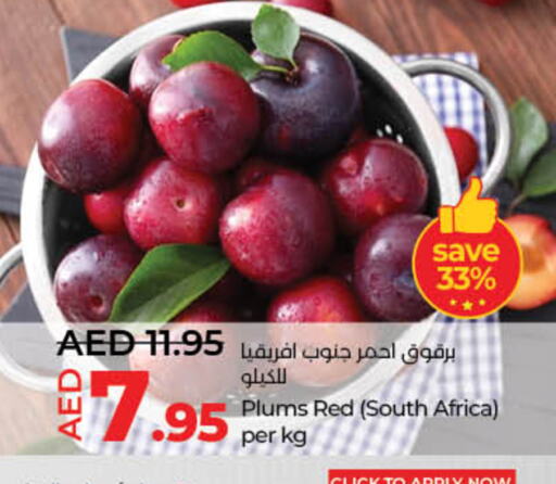 برقوق from South Africa available at لولو هايبرماركت in الإمارات العربية المتحدة , الامارات - الشارقة / عجمان