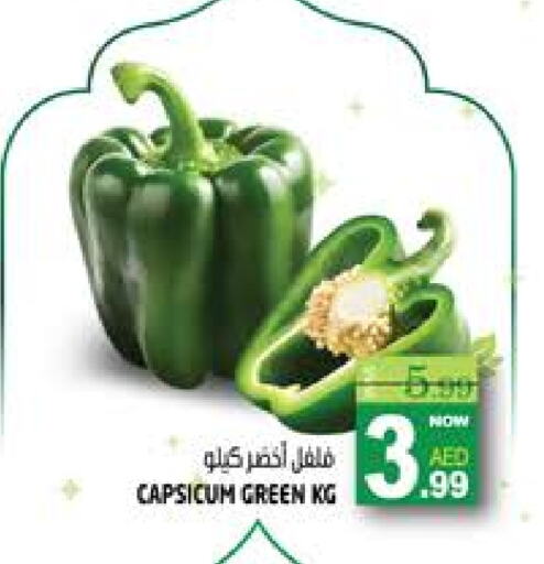 Chilli / Capsicum available at Hashim Hypermarket in UAE - Sharjah / Ajman