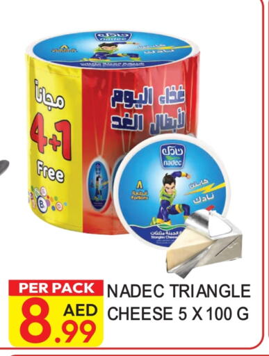 نادك جبنة مثلثات available at دريم لاند in الإمارات العربية المتحدة , الامارات - دبي