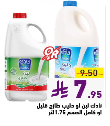 NADEC Laban available at Aswaq Ramez in KSA, Saudi Arabia, Saudi - Hafar Al Batin