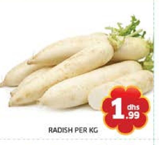 Radish available at Seven Emirates Supermarket in UAE - Abu Dhabi