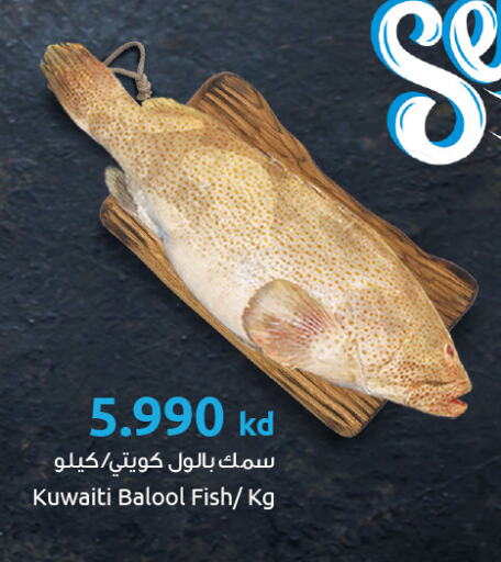 available at The Sultan Center in Kuwait - Jahra Governorate