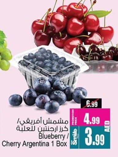 Berries from Argentina available at Ansar Gallery in UAE - Dubai