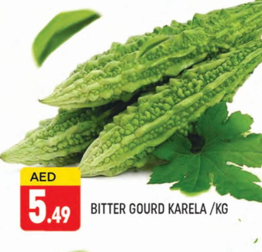 Gourd available at AL MADINA (Dubai) in UAE - Dubai