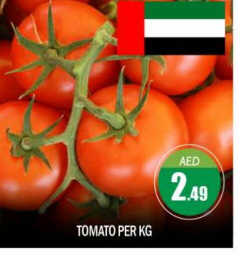 Tomato available at BIGmart in UAE - Abu Dhabi